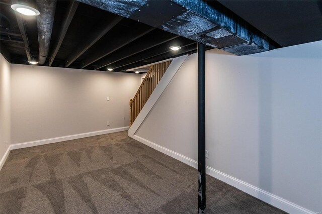 basement featuring carpet