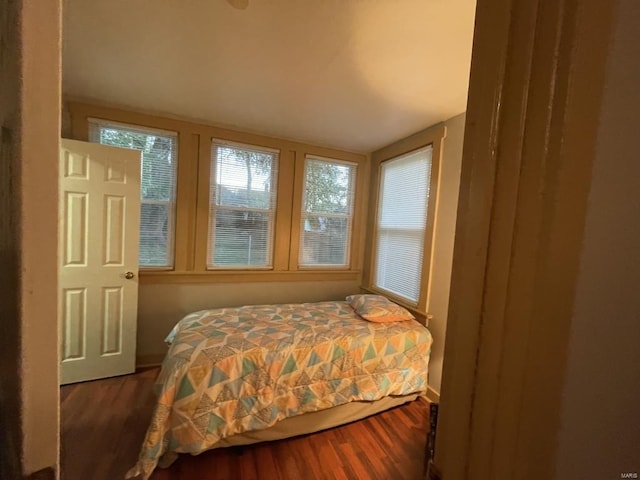 bedroom featuring dark wood-type flooring