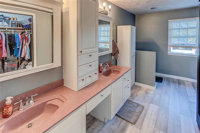 bathroom featuring vanity, wood-type flooring, and a healthy amount of sunlight