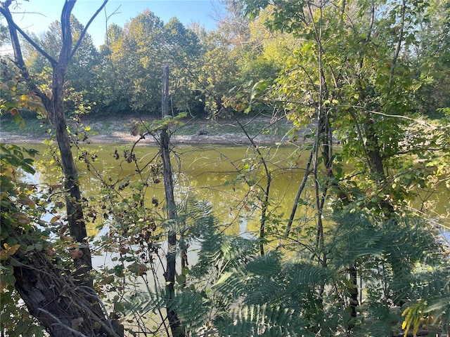 view of local wilderness