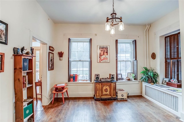 interior space featuring a wealth of natural light, an inviting chandelier, wood-type flooring, and radiator heating unit