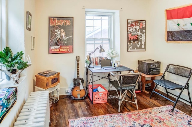 sitting room with radiator heating unit and hardwood / wood-style floors