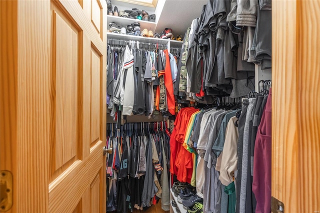 view of walk in closet