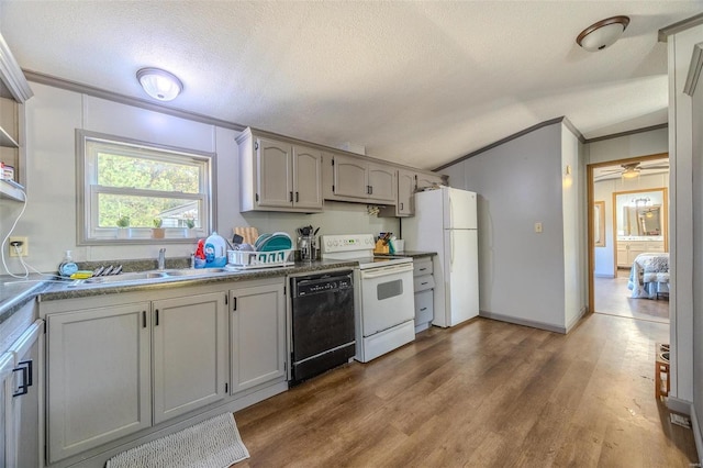 kitchen with white appliances, gray cabinetry, a textured ceiling, dark wood-type flooring, and crown molding