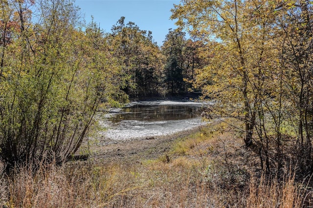 view of water feature