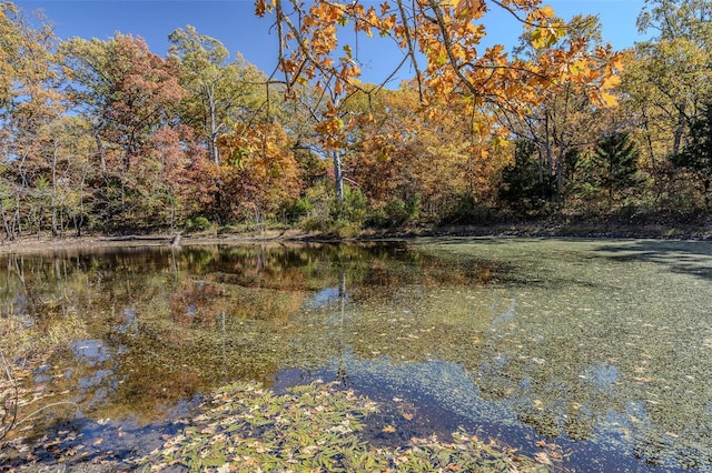 property view of water