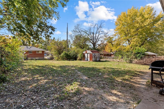 view of yard with a storage unit