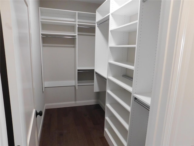 spacious closet with dark wood-type flooring