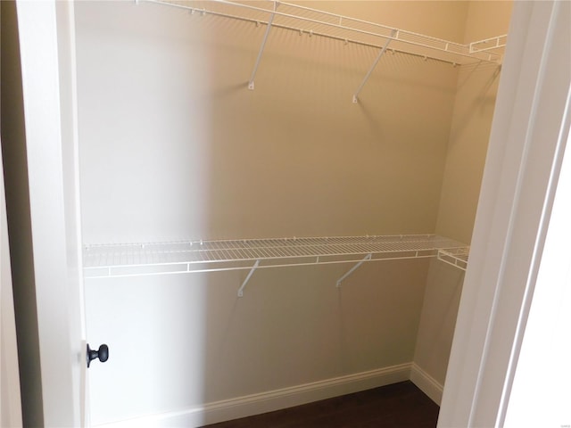 spacious closet featuring dark wood-type flooring