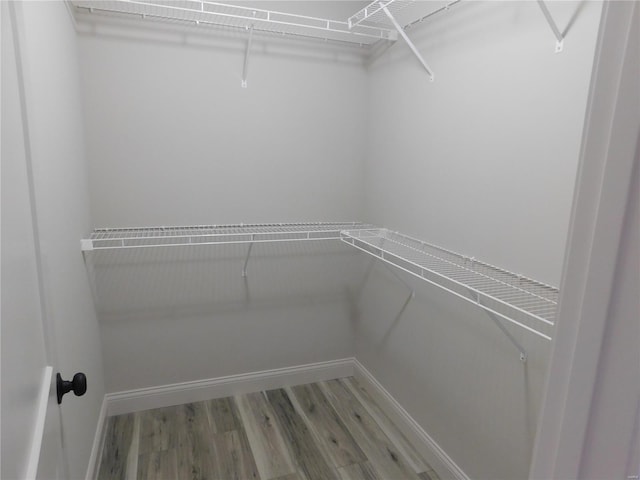 walk in closet with light wood finished floors