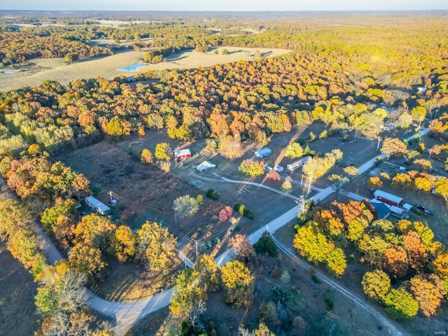 drone / aerial view