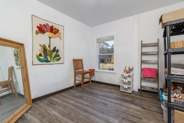 living area with dark hardwood / wood-style flooring