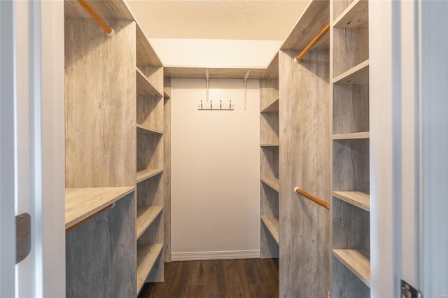 walk in closet with dark hardwood / wood-style flooring