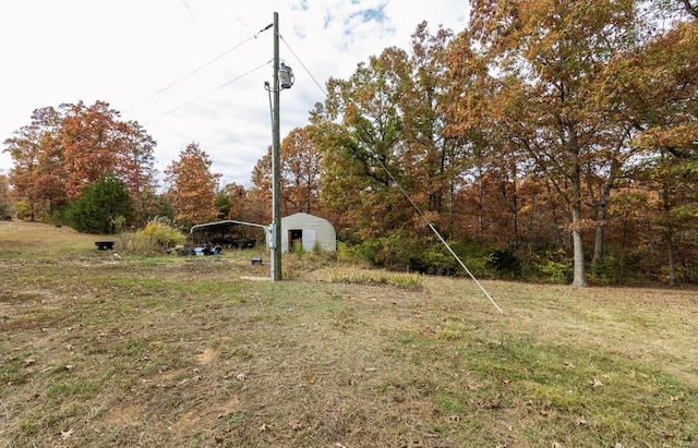 view of yard with a storage shed