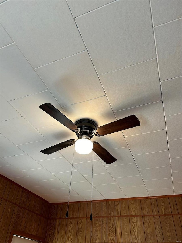 room details with ceiling fan and wooden walls