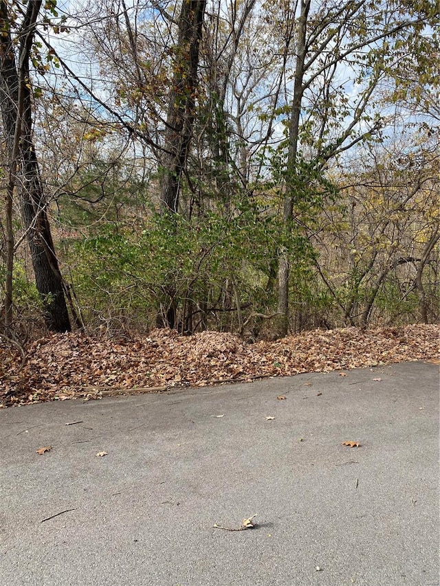 0 Prospect St, Waynesville MO, 65583 land for sale