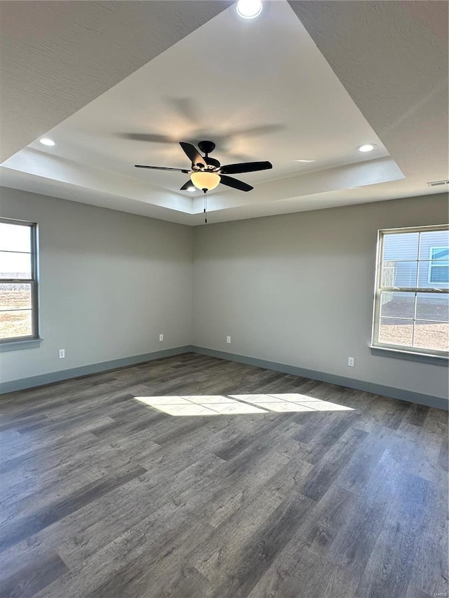 spare room with wood finished floors, a raised ceiling, a wealth of natural light, and baseboards