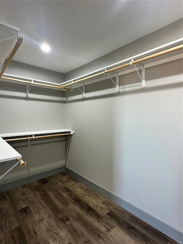 spacious closet with dark wood finished floors