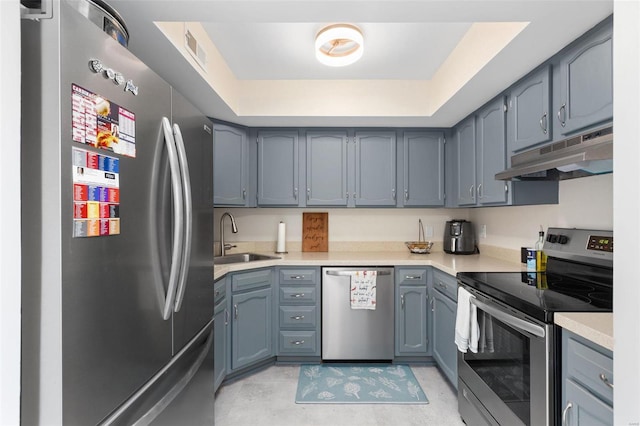 kitchen with sink, stainless steel appliances, and a tray ceiling