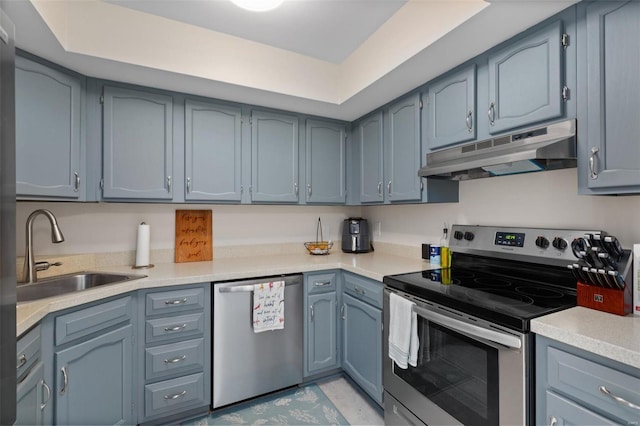 kitchen with appliances with stainless steel finishes, sink, and a raised ceiling