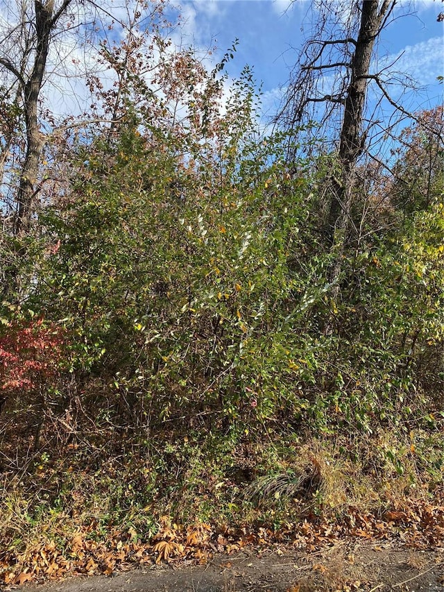 0 Kansas St, Waynesville MO, 65583 land for sale