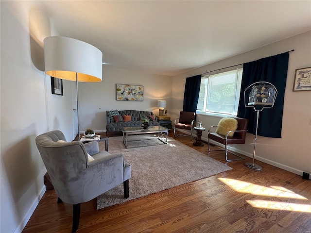 living room featuring hardwood / wood-style flooring