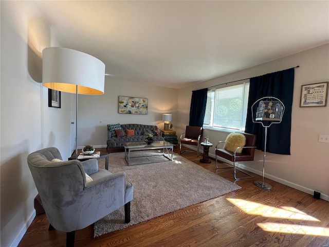 living room featuring hardwood / wood-style flooring