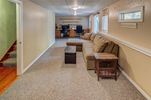 view of carpeted living room