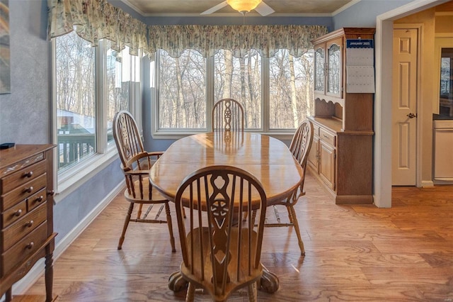 dining area with light hardwood / wood-style floors, a wealth of natural light, ornamental molding, and ceiling fan