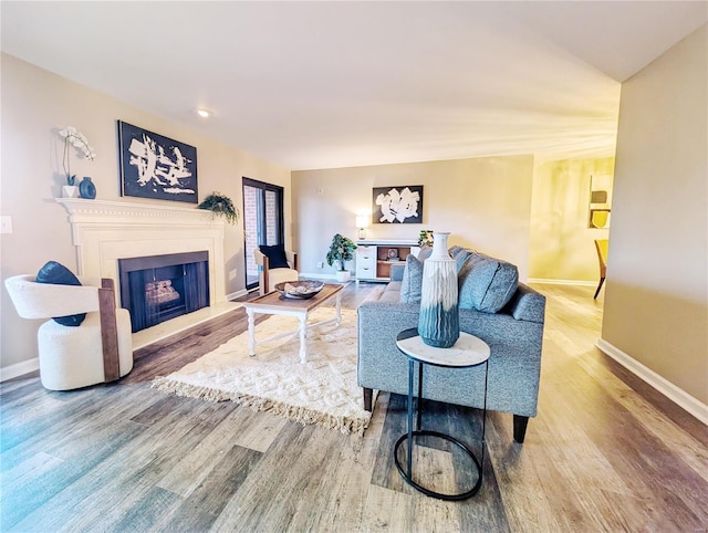 living room featuring hardwood / wood-style flooring