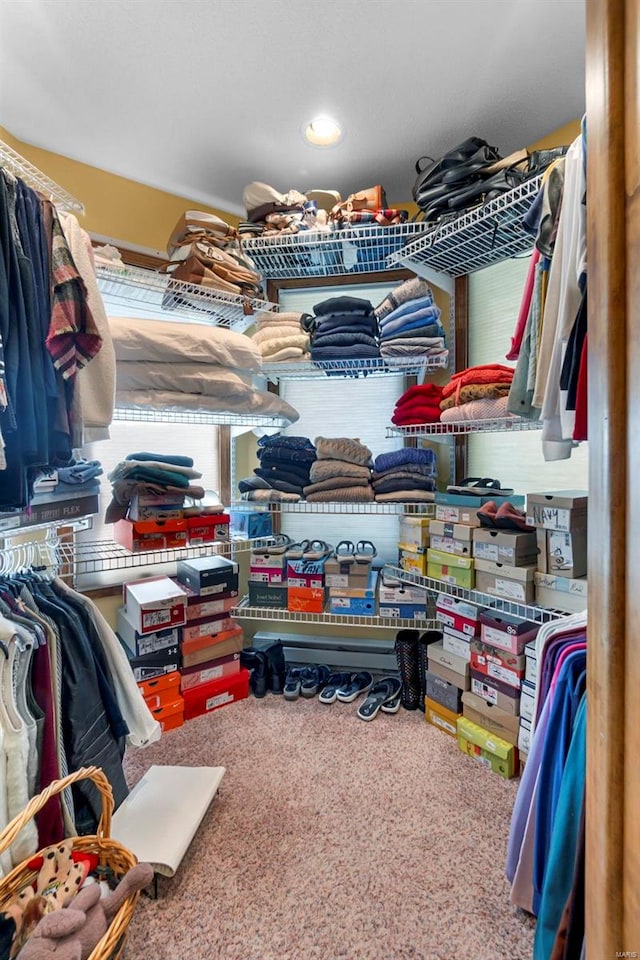 walk in closet featuring carpet flooring