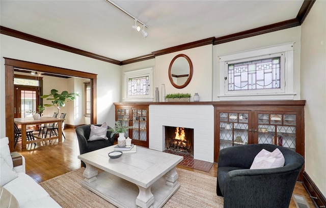 living room featuring crown molding, track lighting, light wood-type flooring, and a fireplace