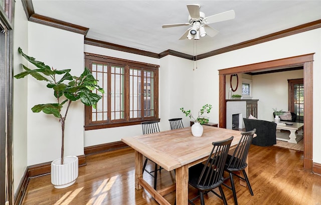 dining space featuring ornamental molding, a fireplace, wood-type flooring, and ceiling fan