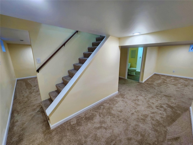 stairs featuring carpet flooring