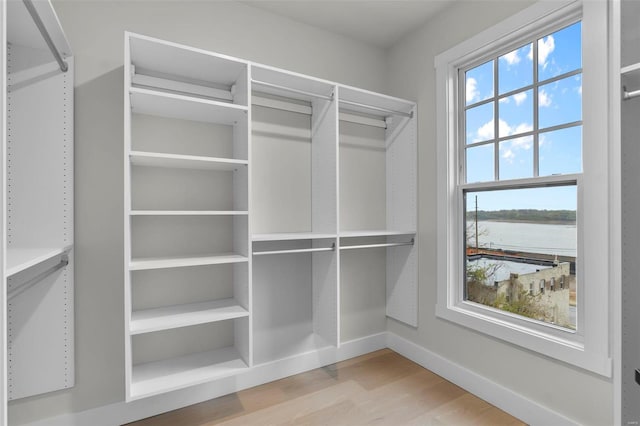 walk in closet with hardwood / wood-style flooring