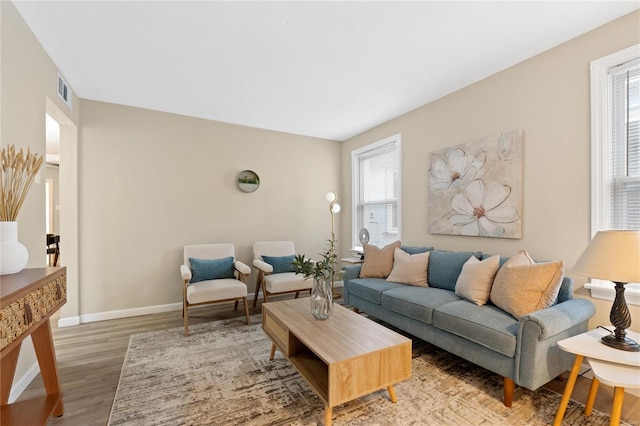 living room featuring hardwood / wood-style flooring and a healthy amount of sunlight