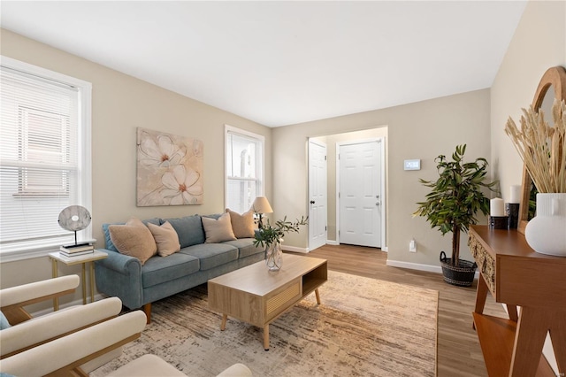 living room featuring wood-type flooring