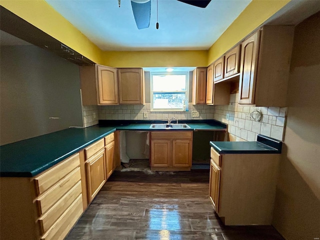 kitchen featuring a peninsula, tasteful backsplash, dark wood-type flooring, and a sink