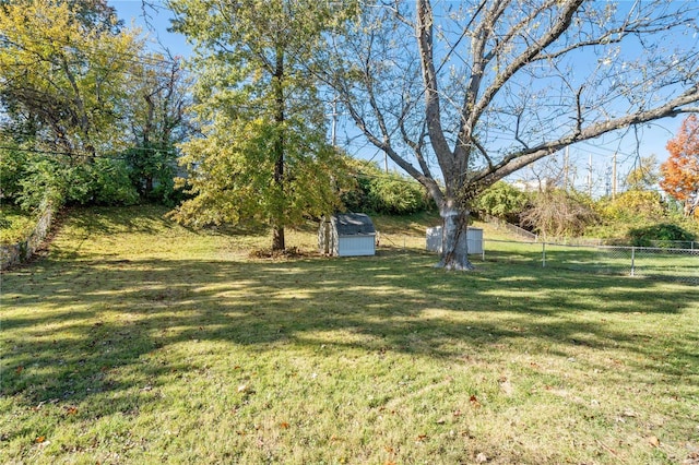 view of yard featuring a storage unit