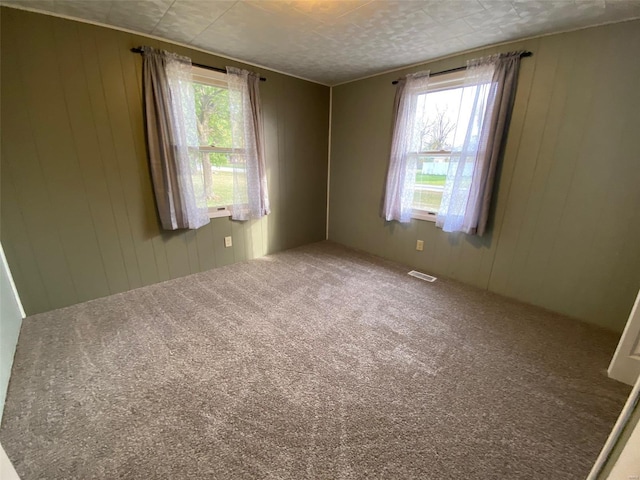 spare room with wood walls, carpet floors, and plenty of natural light