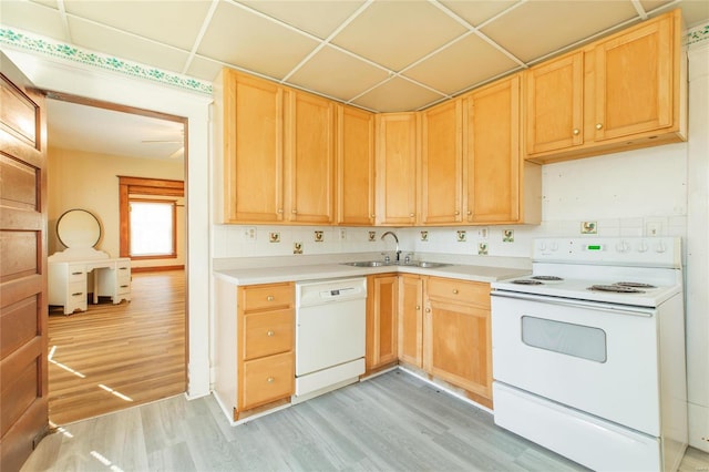 kitchen featuring decorative backsplash, sink, light wood-type flooring, and white appliances