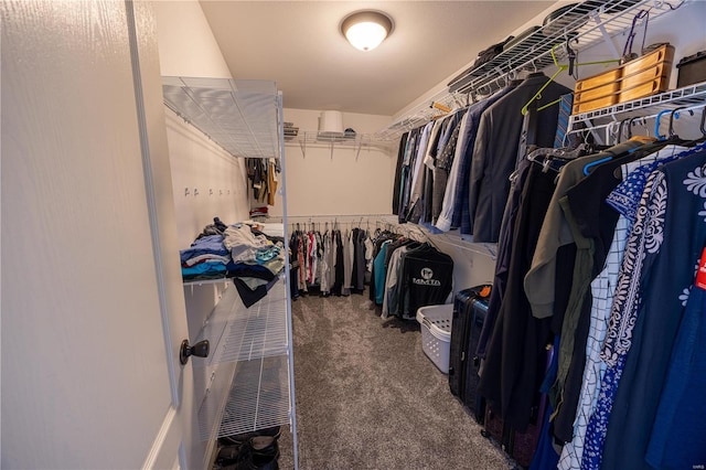 walk in closet featuring carpet floors