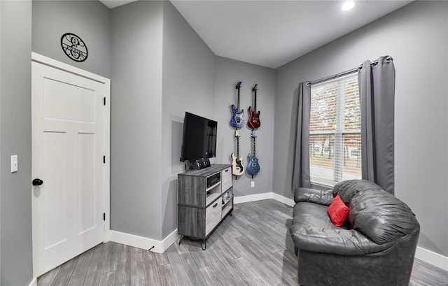 living area featuring wood-type flooring