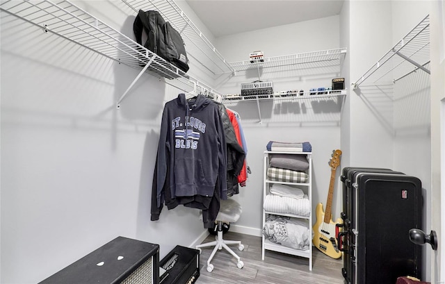 walk in closet featuring wood-type flooring