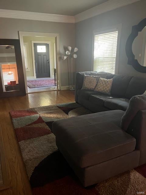 living room featuring ornamental molding and hardwood / wood-style floors