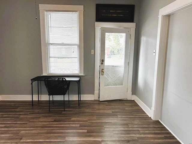 doorway to outside featuring dark hardwood / wood-style flooring