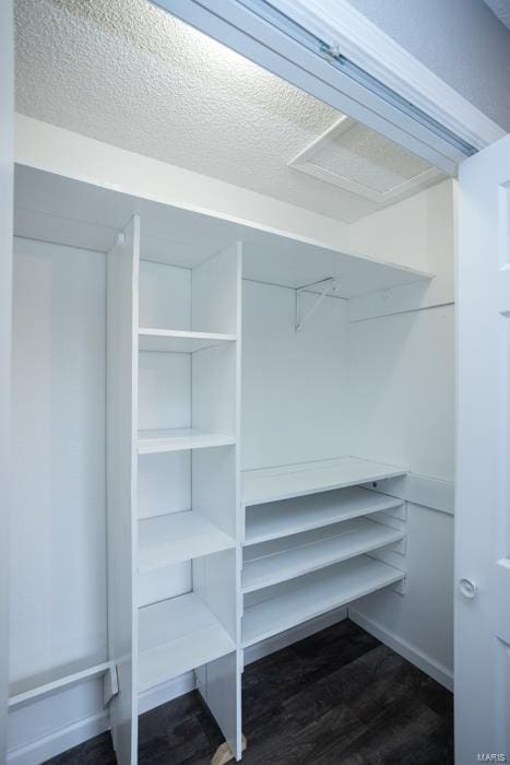 view of closet