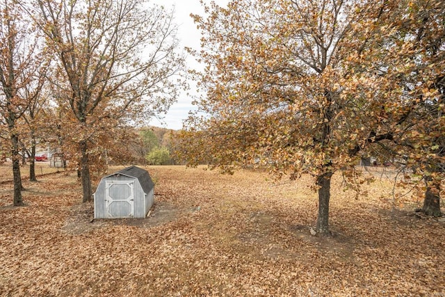 view of yard featuring a shed