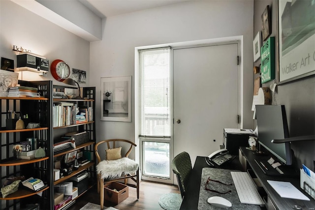 office featuring hardwood / wood-style flooring