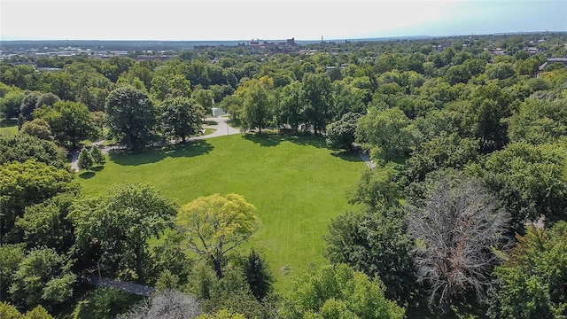 aerial view